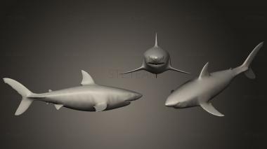 3D model Megaladon (STL)